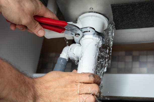 Best Mold removal after water damage  in Bryson City, NC