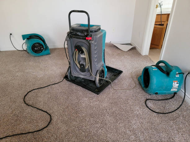 Best Carpet water damage restoration  in Bryson City, NC
