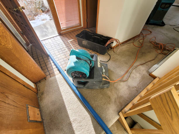 Best Water damage restoration near me  in Bryson City, NC