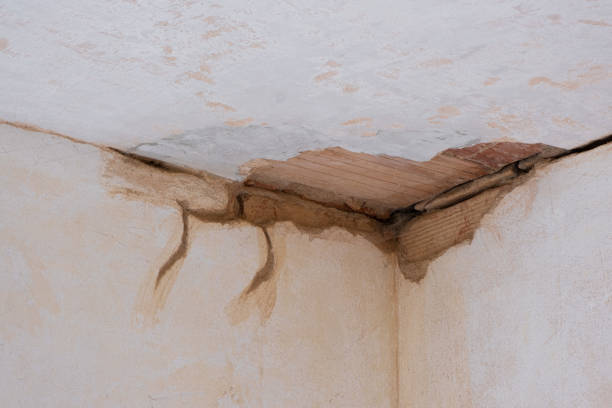 Best Local water damage restoration  in Bryson City, NC