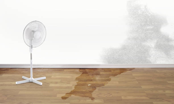 Sewage cleanup and water damage restoration in NC