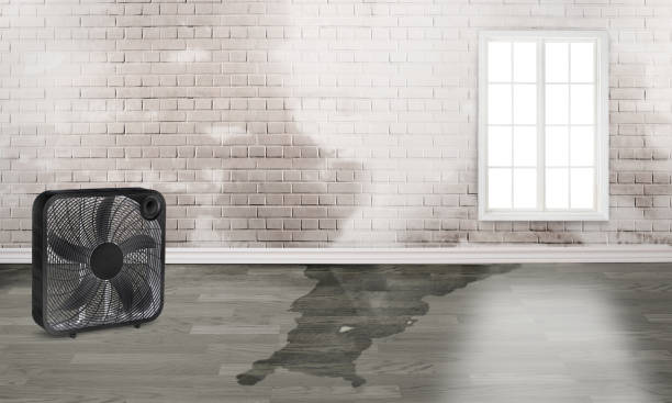 Trusted NC Water damage restoration Experts