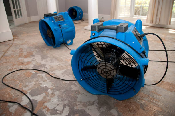 Best Ceiling water damage repair  in Bryson City, NC