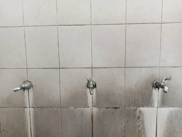 Best Flood damage cleanup  in Bryson City, NC