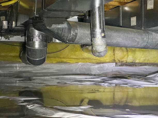 Best Flooded house restoration  in Bryson City, NC